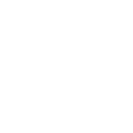 logo dx 2.webp